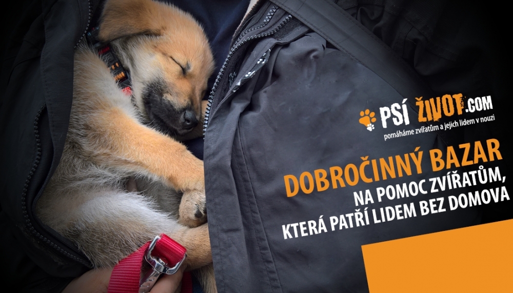 Přijďte na náš dobročinný bazar 2017!